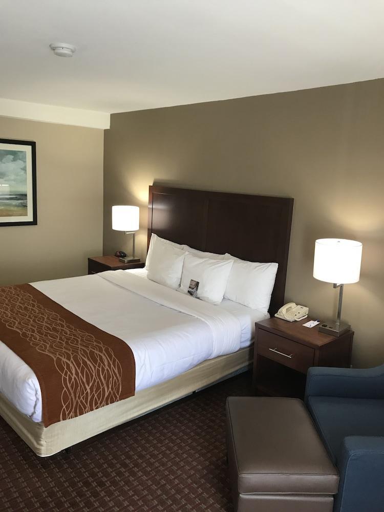 Comfort Inn Silicon Valley East Fremont Exterior foto