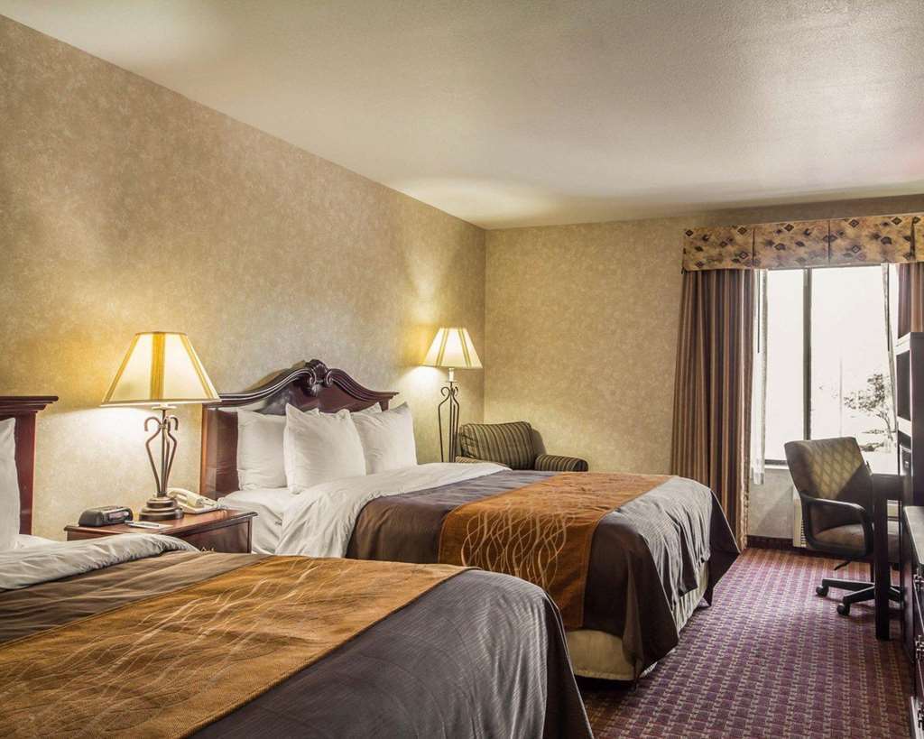 Comfort Inn Silicon Valley East Fremont Zimmer foto