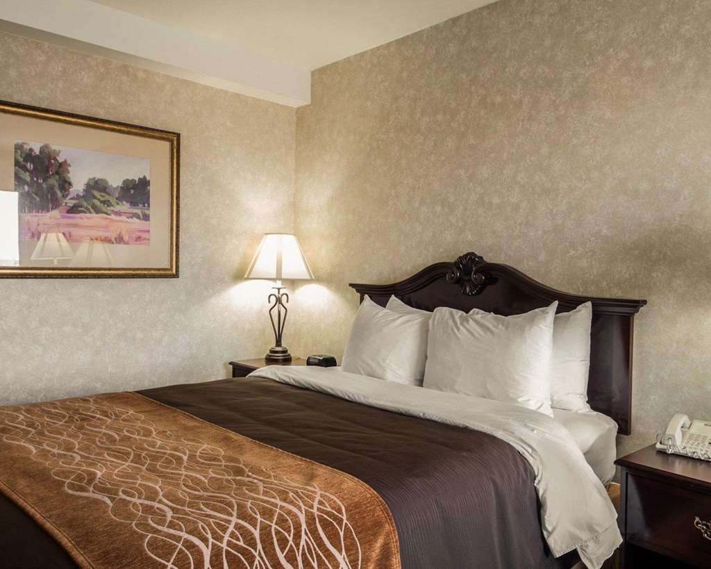 Comfort Inn Silicon Valley East Fremont Zimmer foto