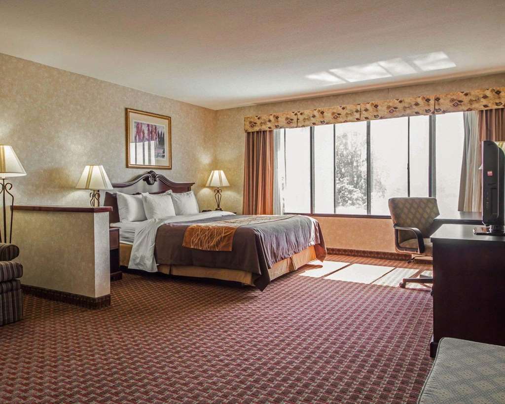 Comfort Inn Silicon Valley East Fremont Zimmer foto