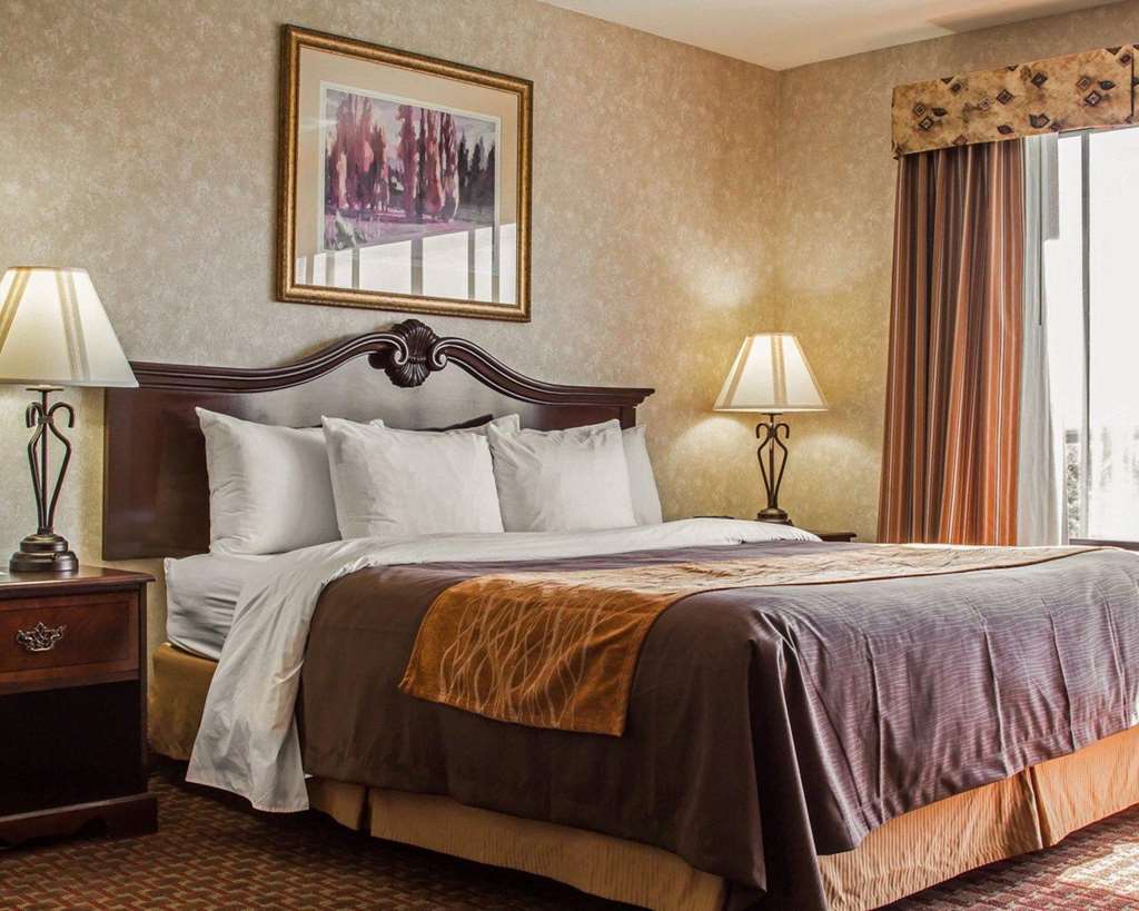 Comfort Inn Silicon Valley East Fremont Zimmer foto